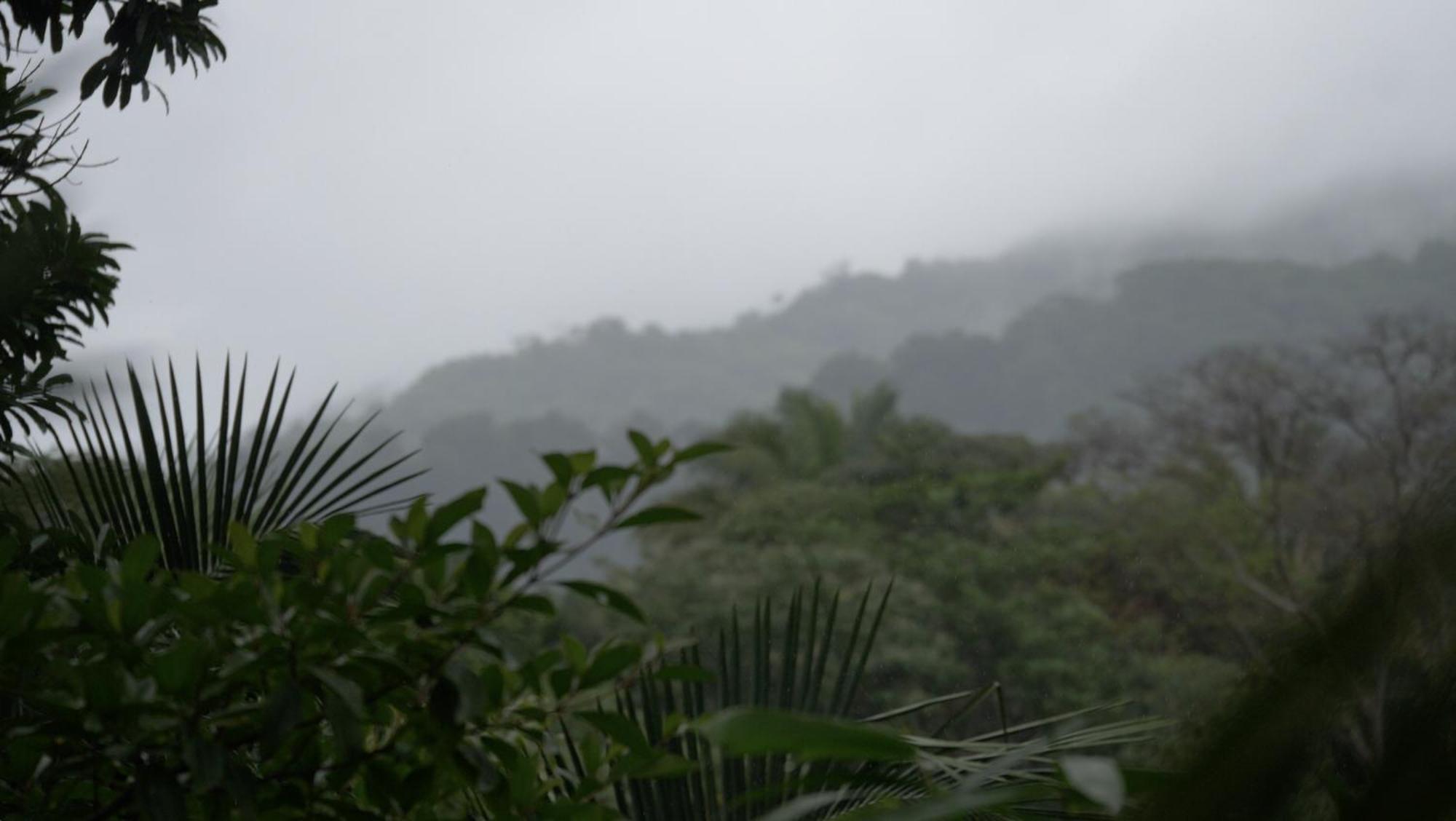 Casa Oh - Oceanview Guesthouse Uvita Luaran gambar