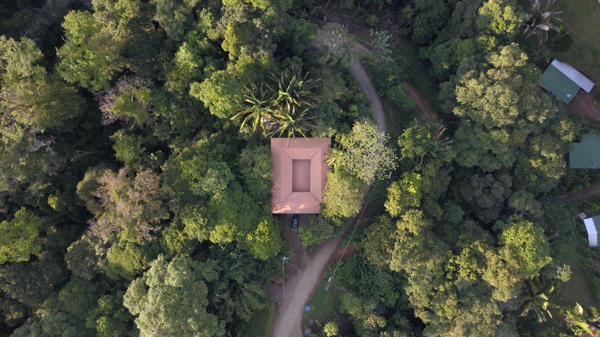 Casa Oh - Oceanview Guesthouse Uvita Luaran gambar