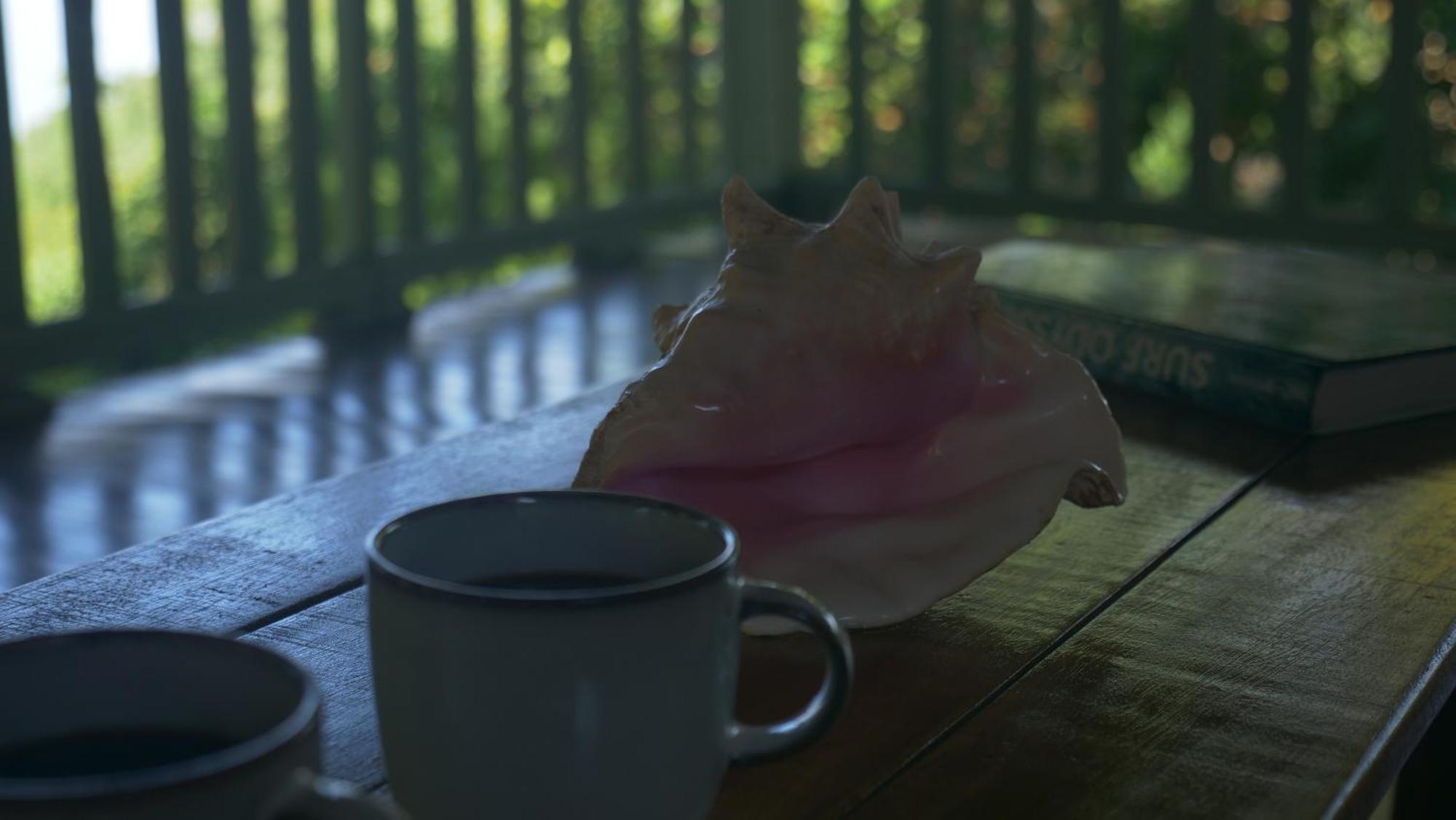 Casa Oh - Oceanview Guesthouse Uvita Luaran gambar