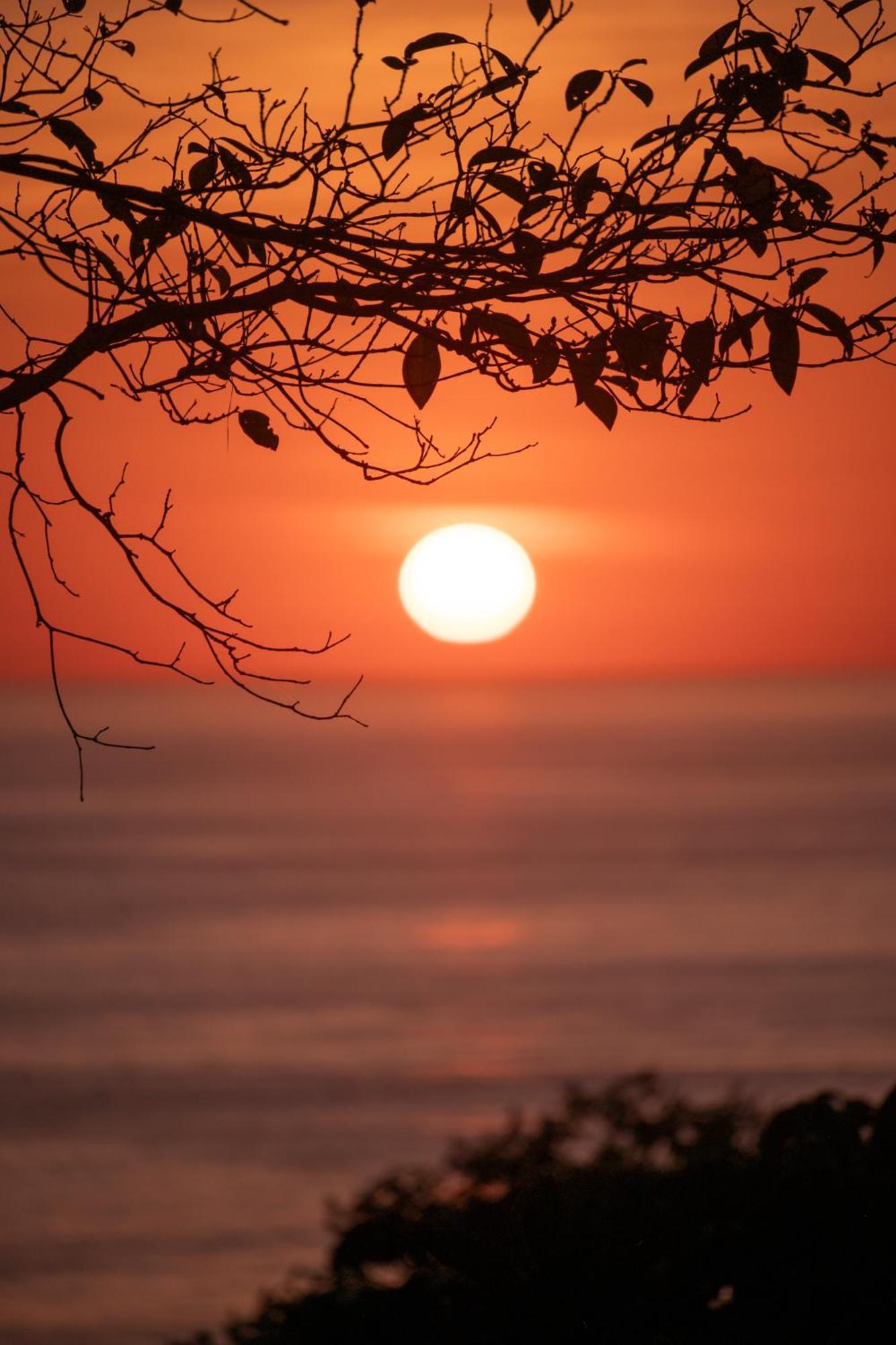 Casa Oh - Oceanview Guesthouse Uvita Luaran gambar