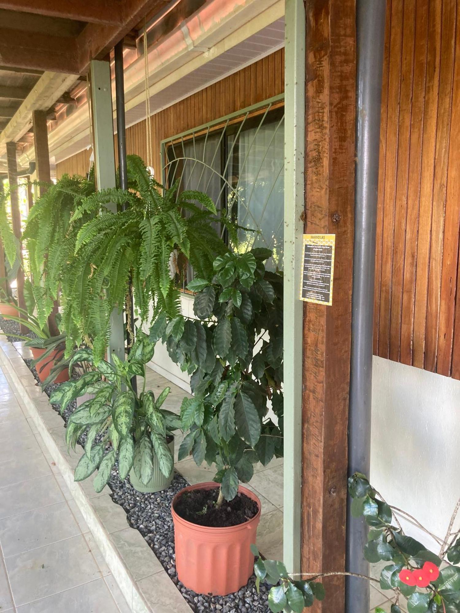 Casa Oh - Oceanview Guesthouse Uvita Luaran gambar